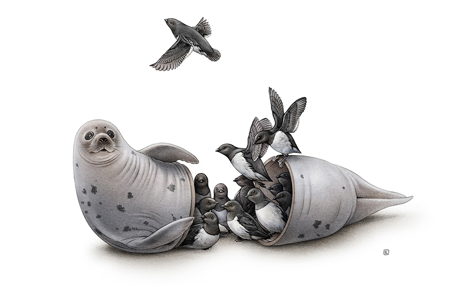 9a66ce60880333.5a5cc307cfba7 (1).jpg