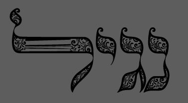 __לכידה (2).JPG