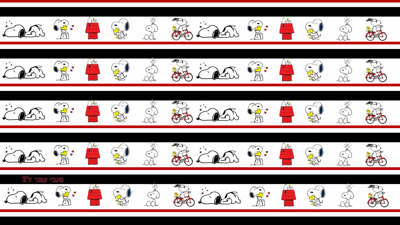 __צילום מסך_14-8-2024_155652_.jpeg