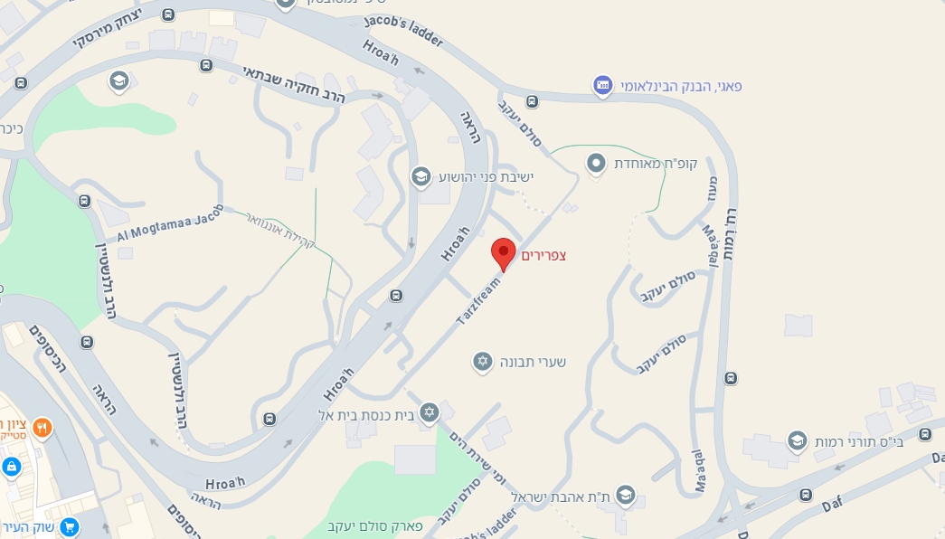 __צילום מסך_23-1-2025_201838_www.google.co.il.jpeg