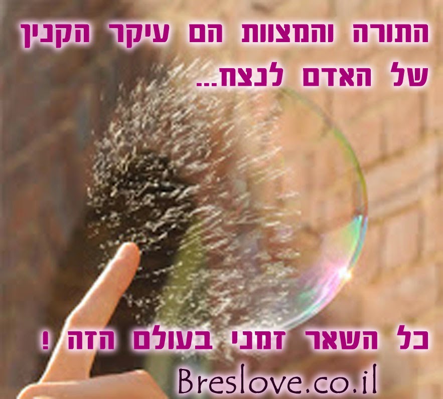 _____ ___ - www.breslevmeir.com - _____.jpg