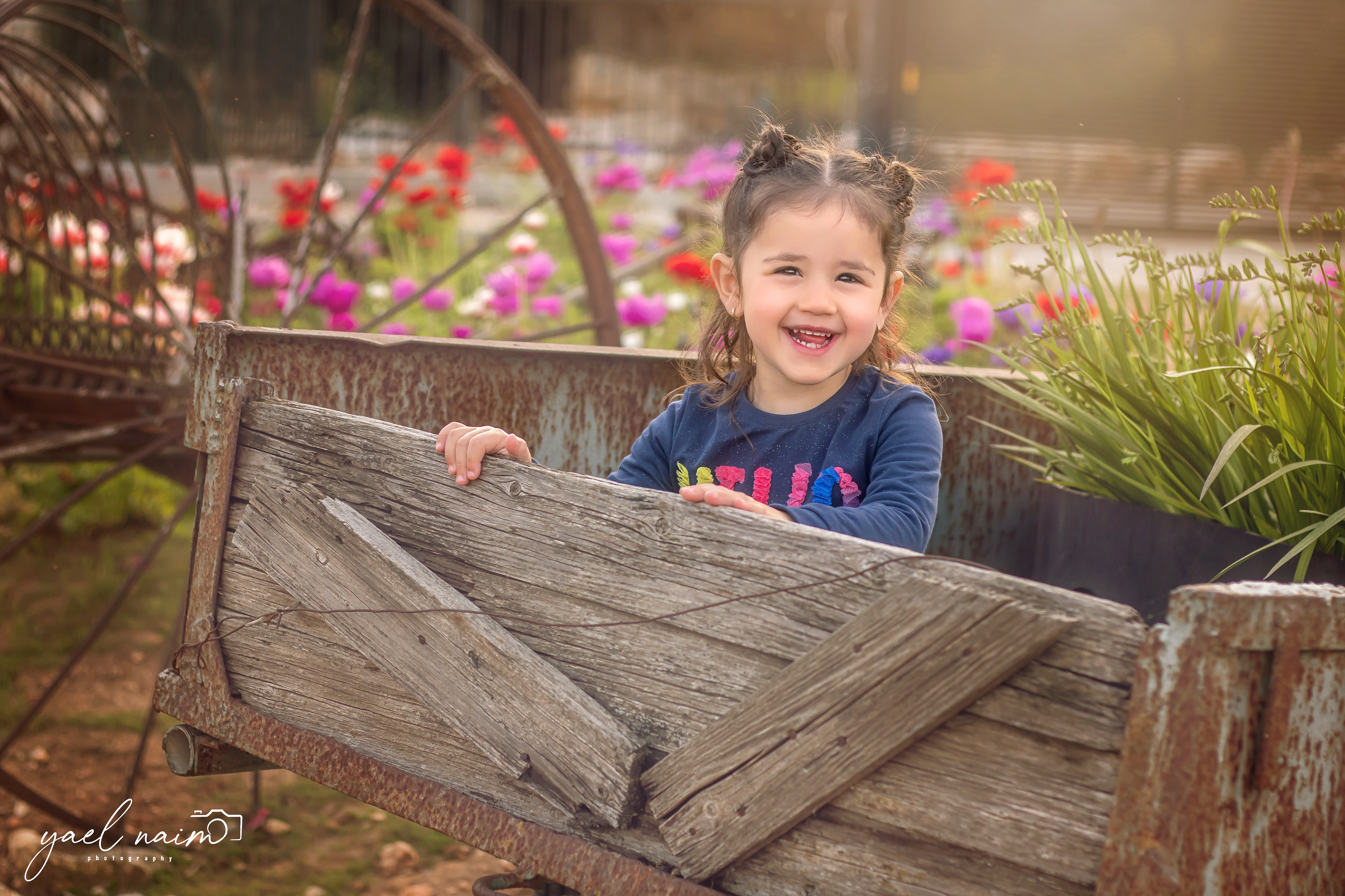 __IMG_9271 - עותק.jpg