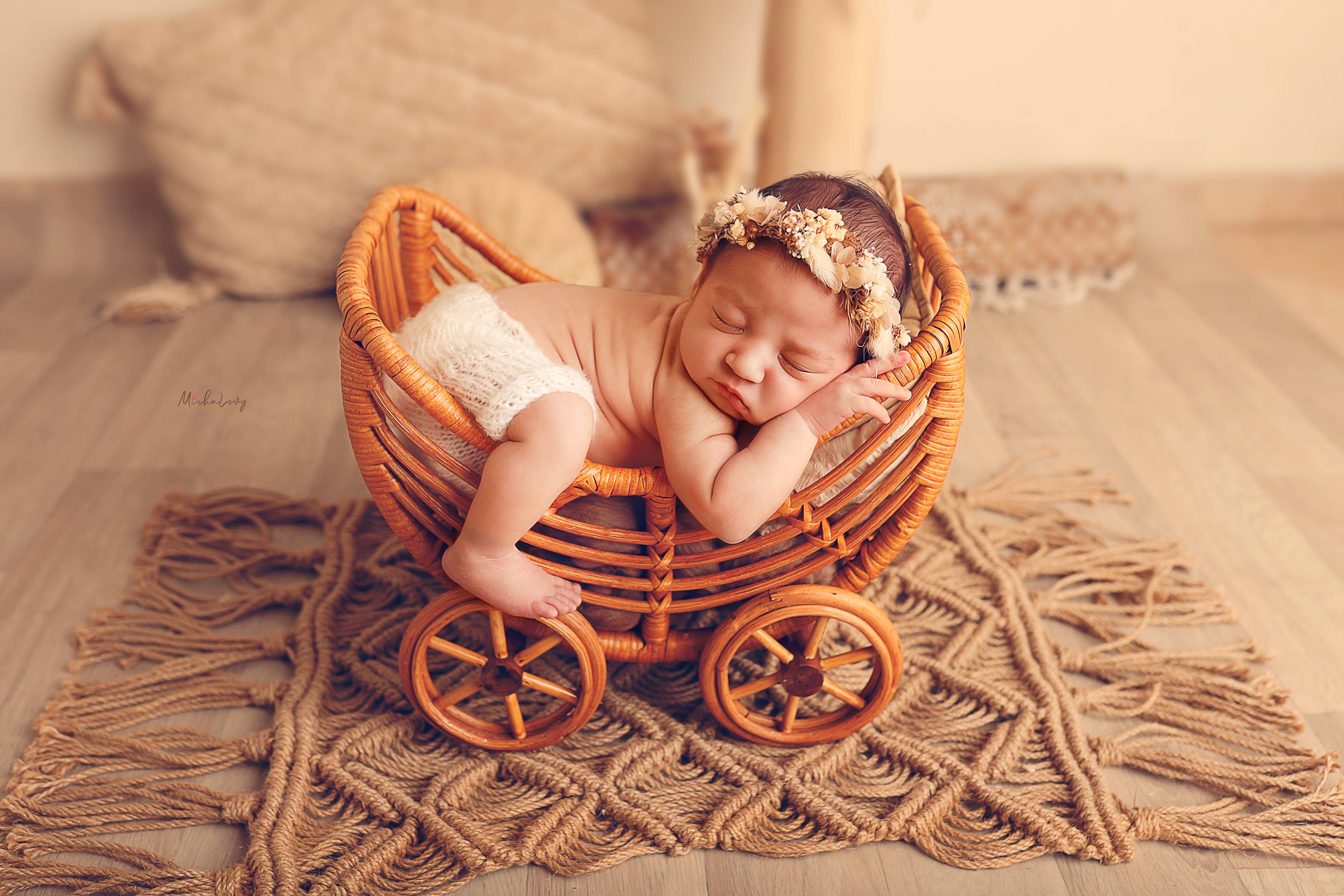 _MG_2078 לוגו.jpg