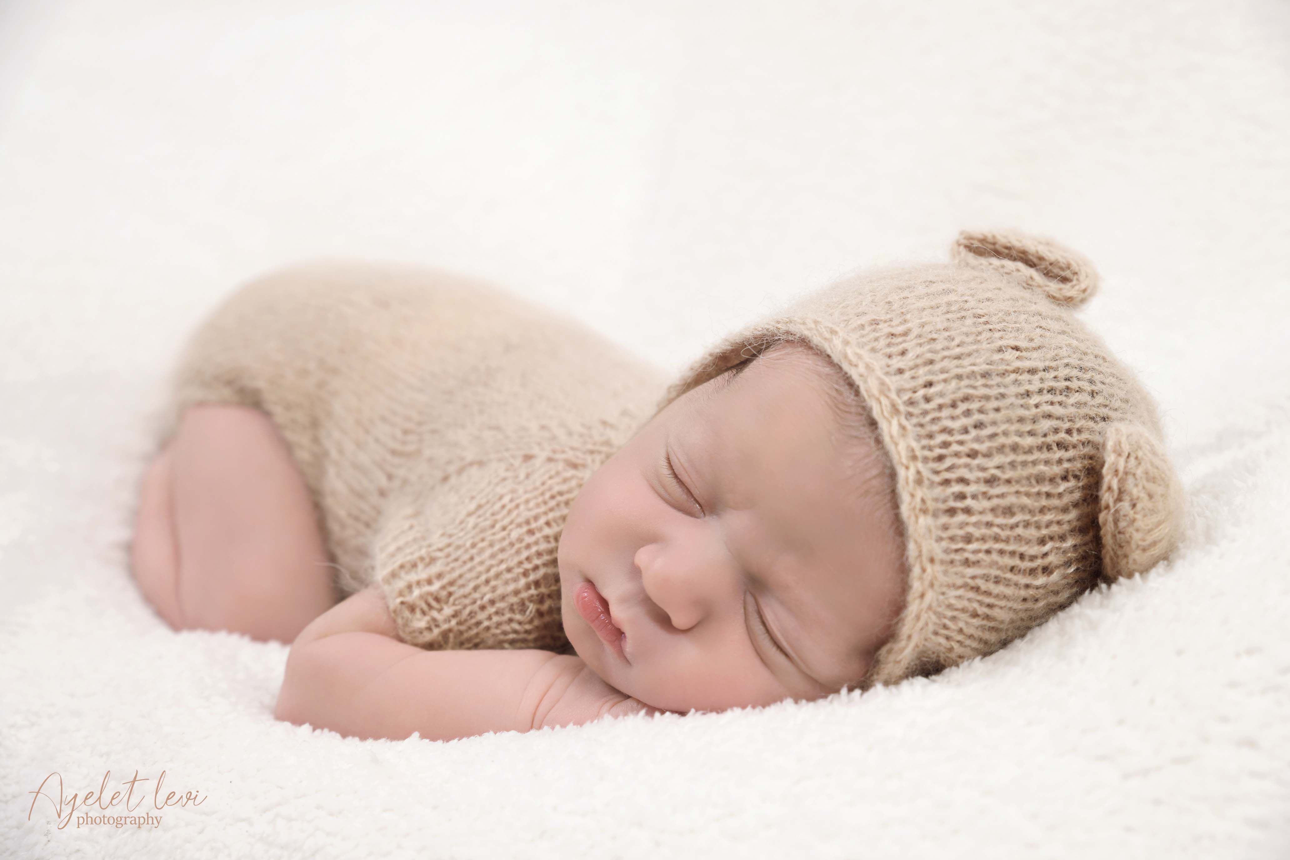 AAL_8553 מוקטן.jpg