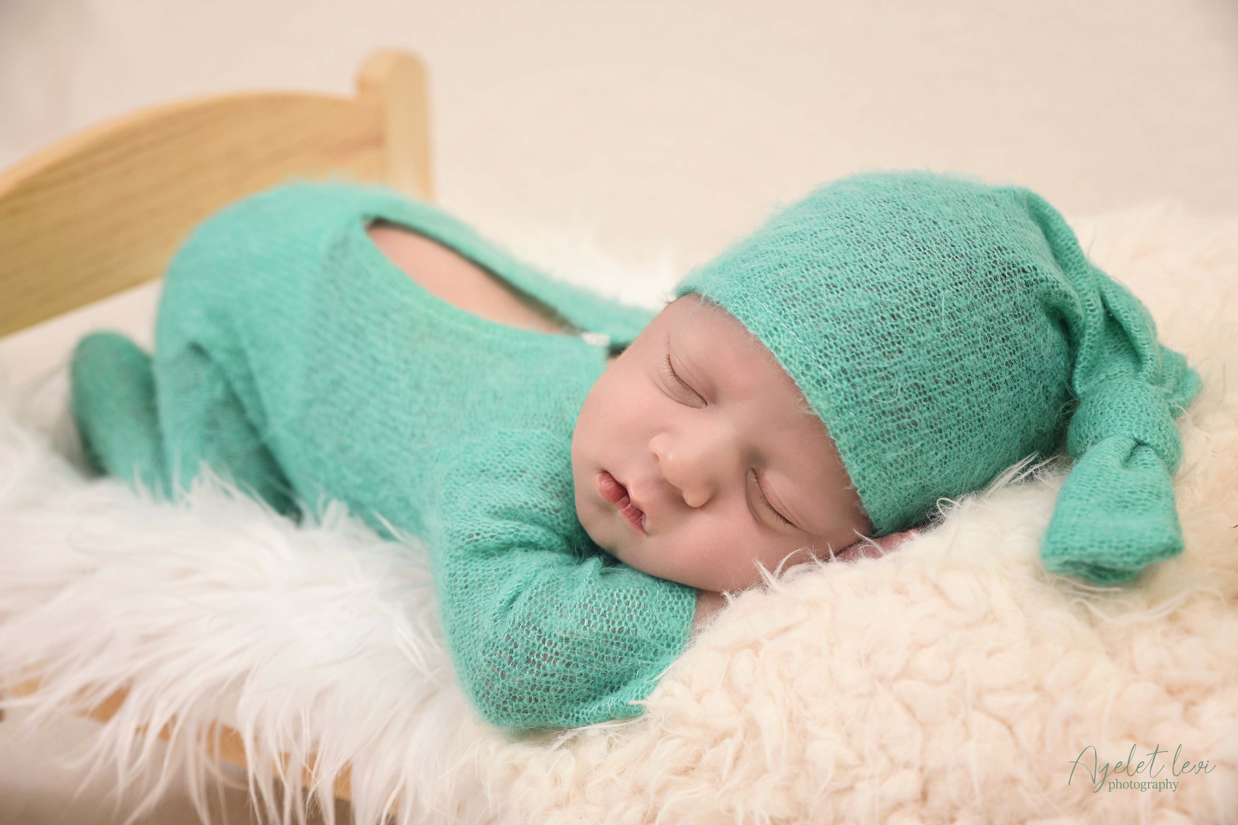 AAL_8618 מוקטן.jpg