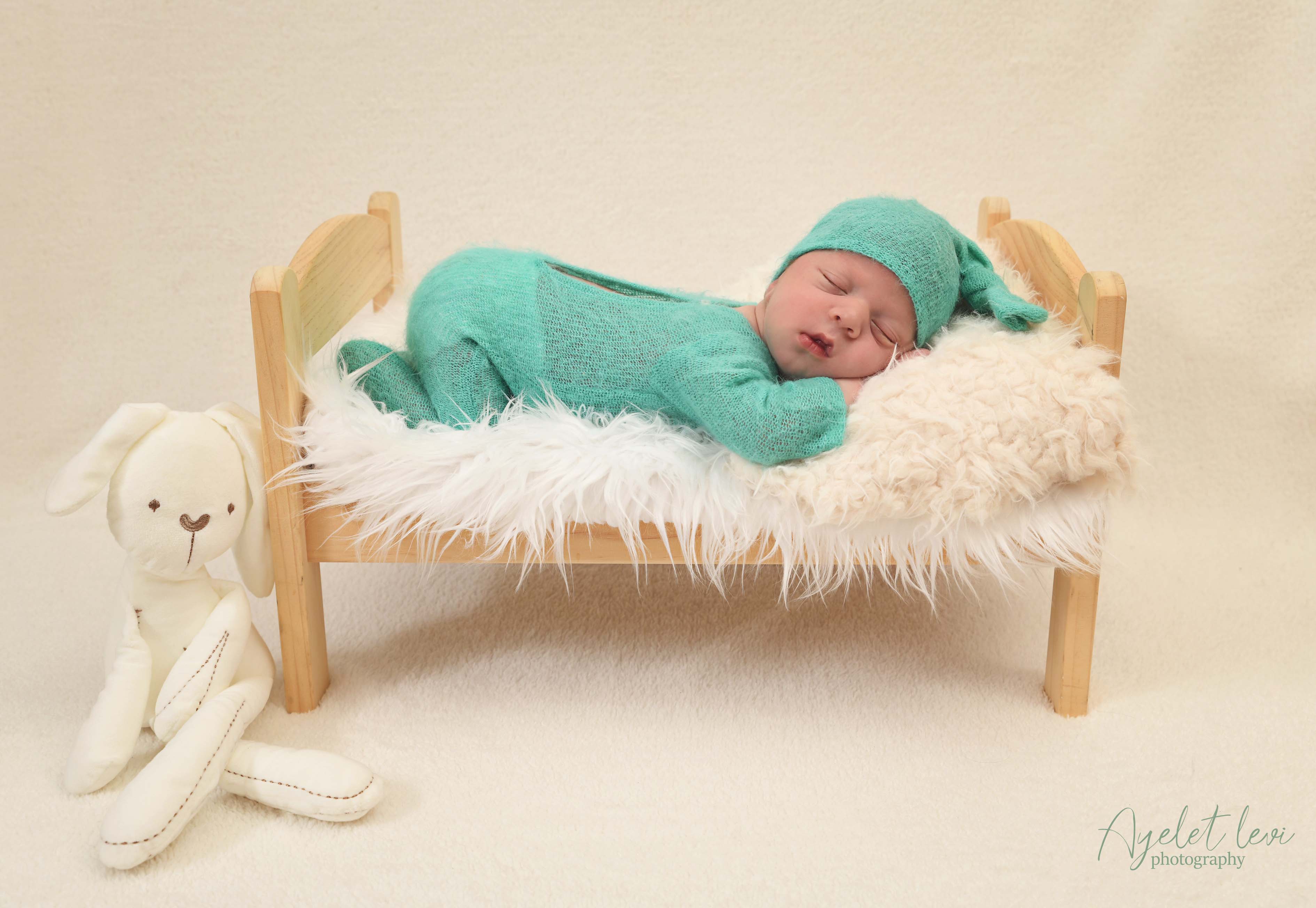 AAL_8630 מוקטן.jpg