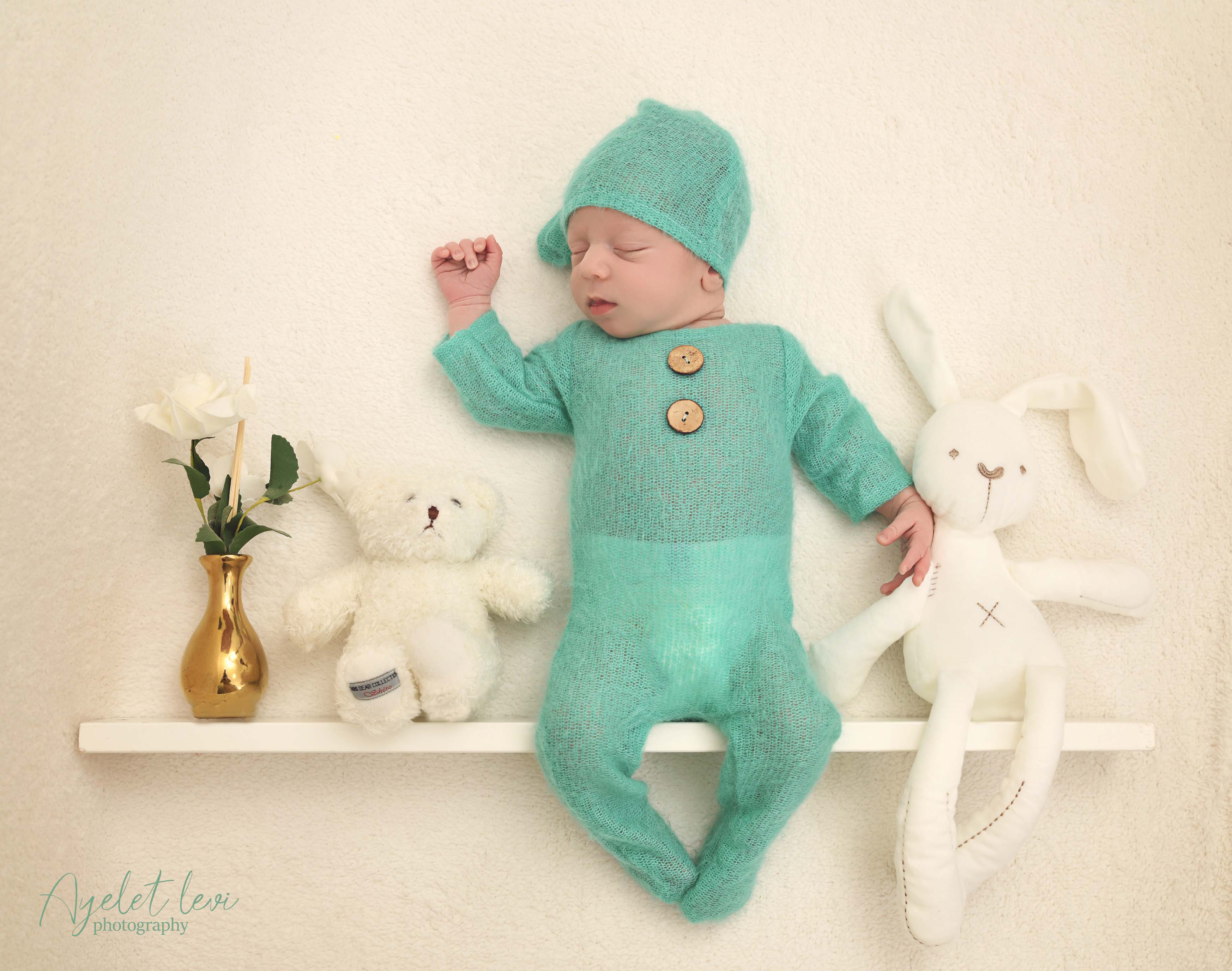 AAL_8674 מוקטן.jpg