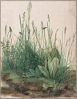 Albrecht_Dürer_-_The_Large_Piece_of_Turf,_1503_-_Google_Art_Project.jpg