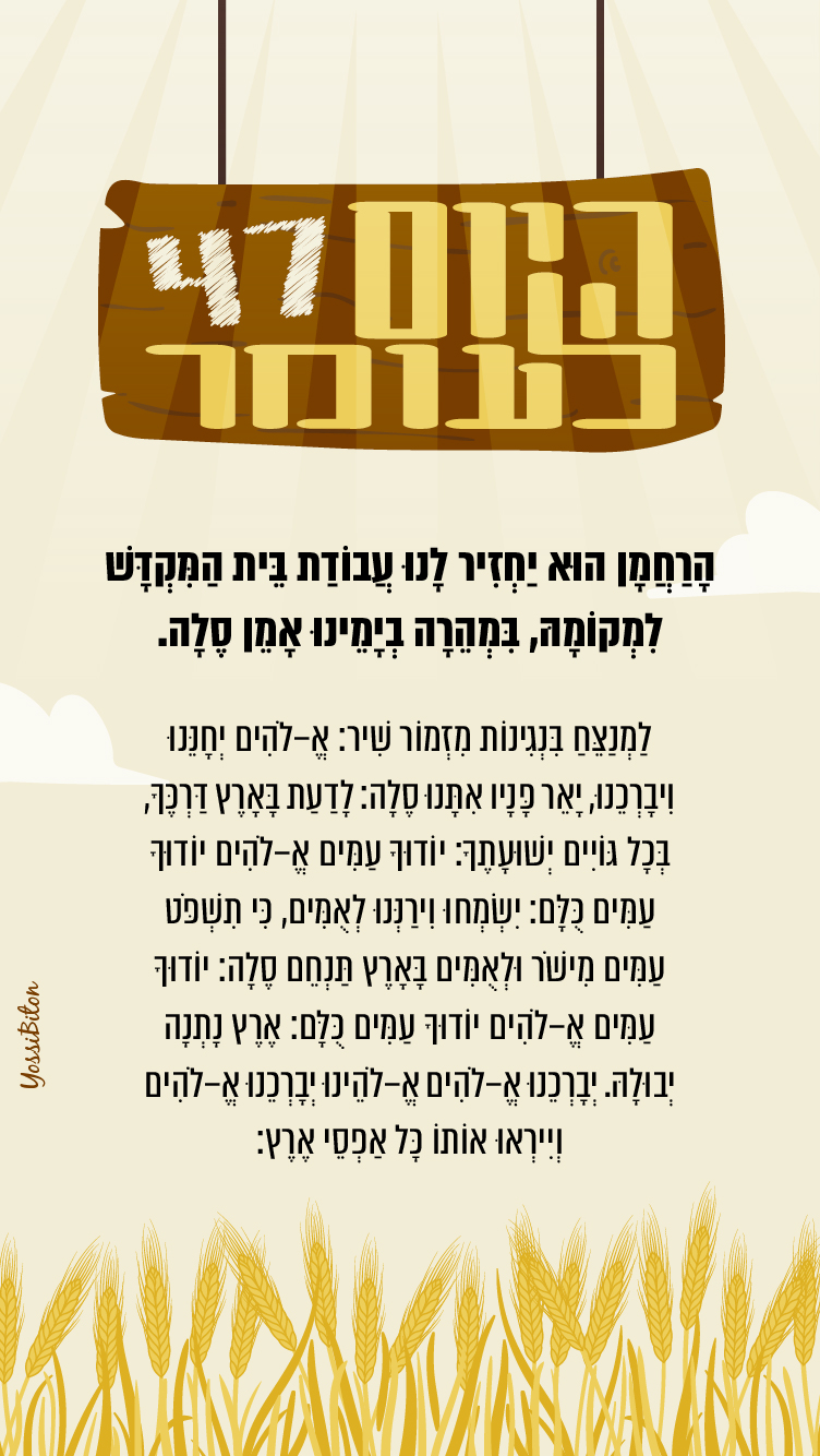 Artboard 1ספירת.jpg