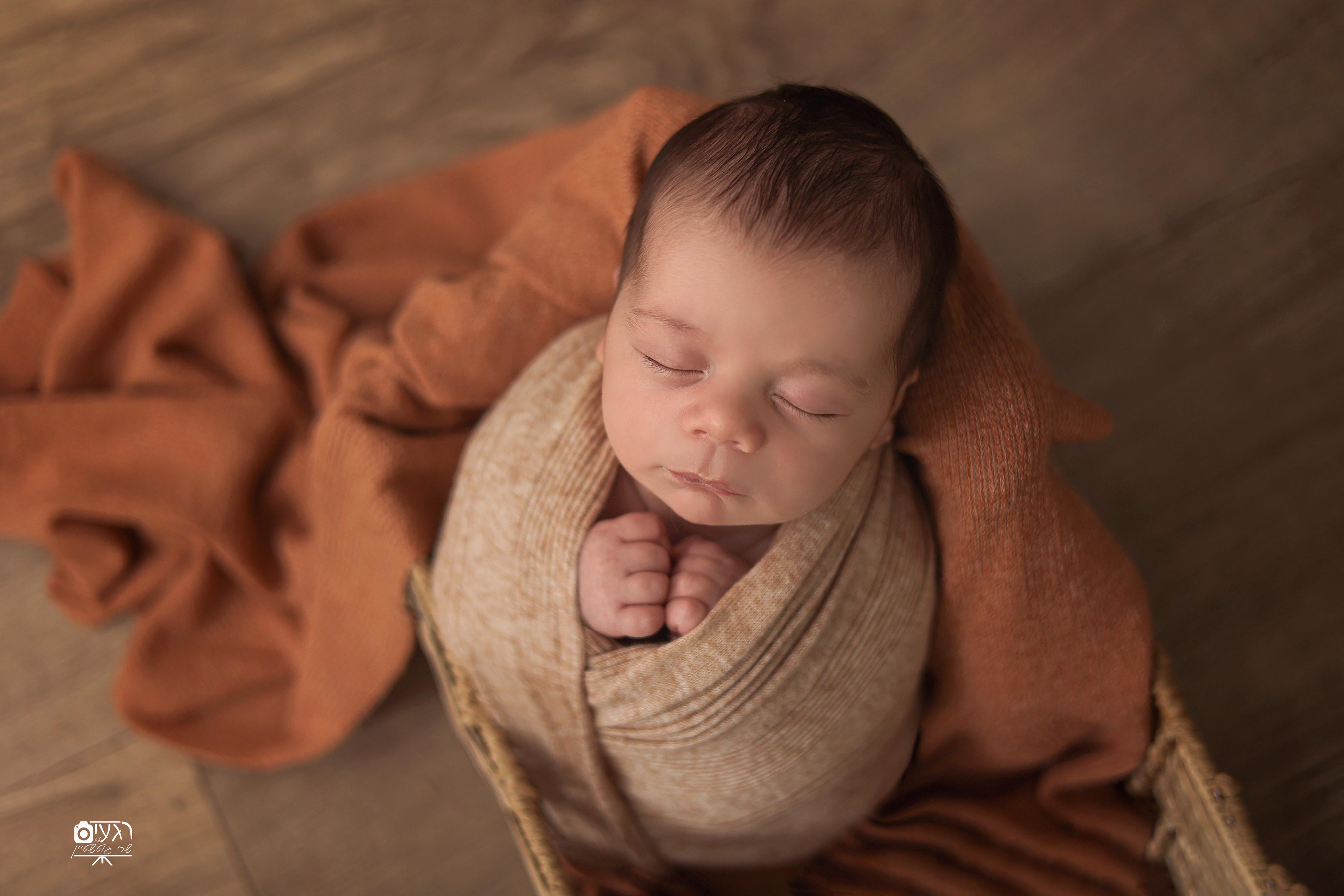 BH6A3758 cop4y copy.jpg