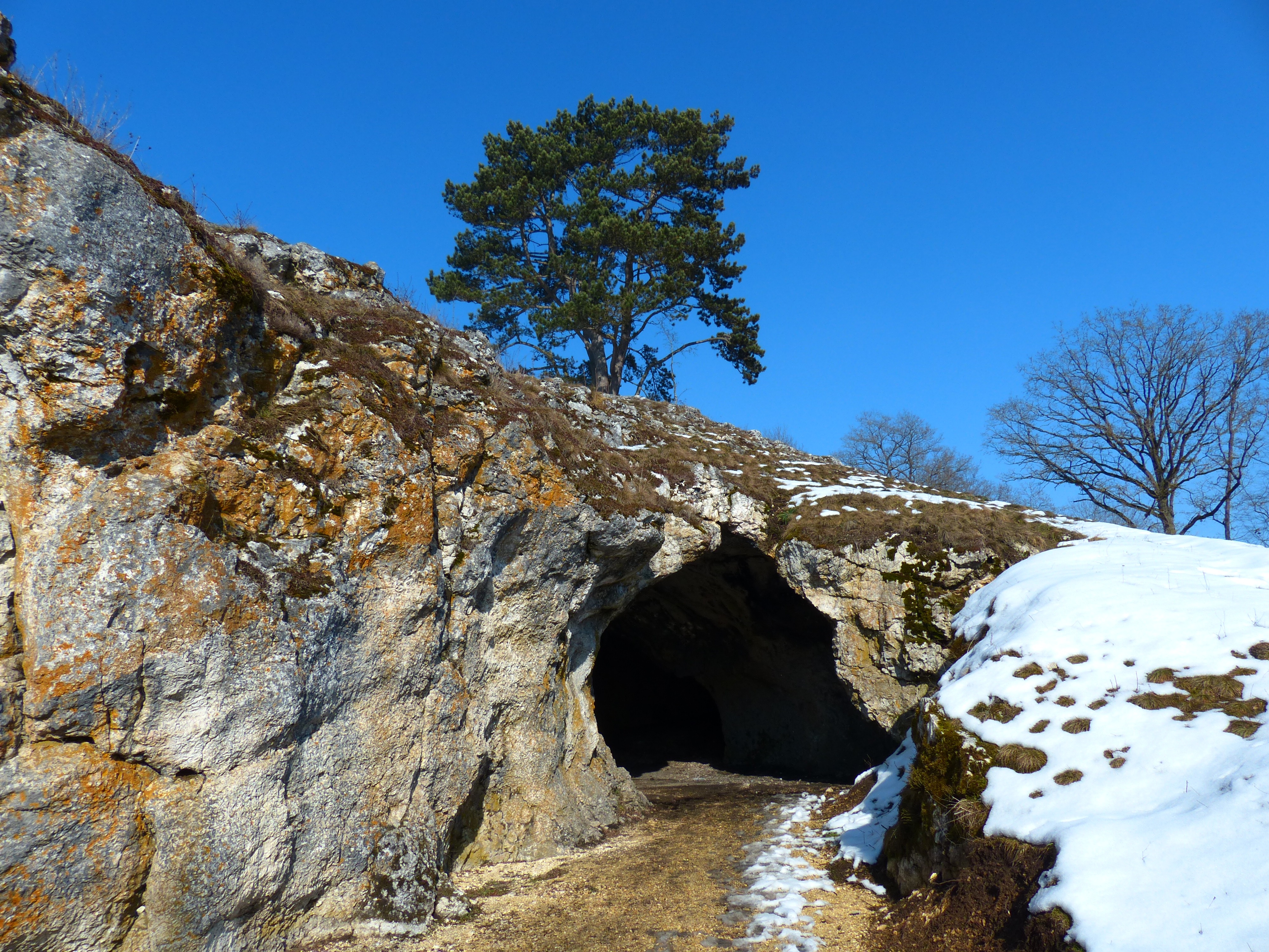 bird_stove_cave_cave_cave_entrance.jpg