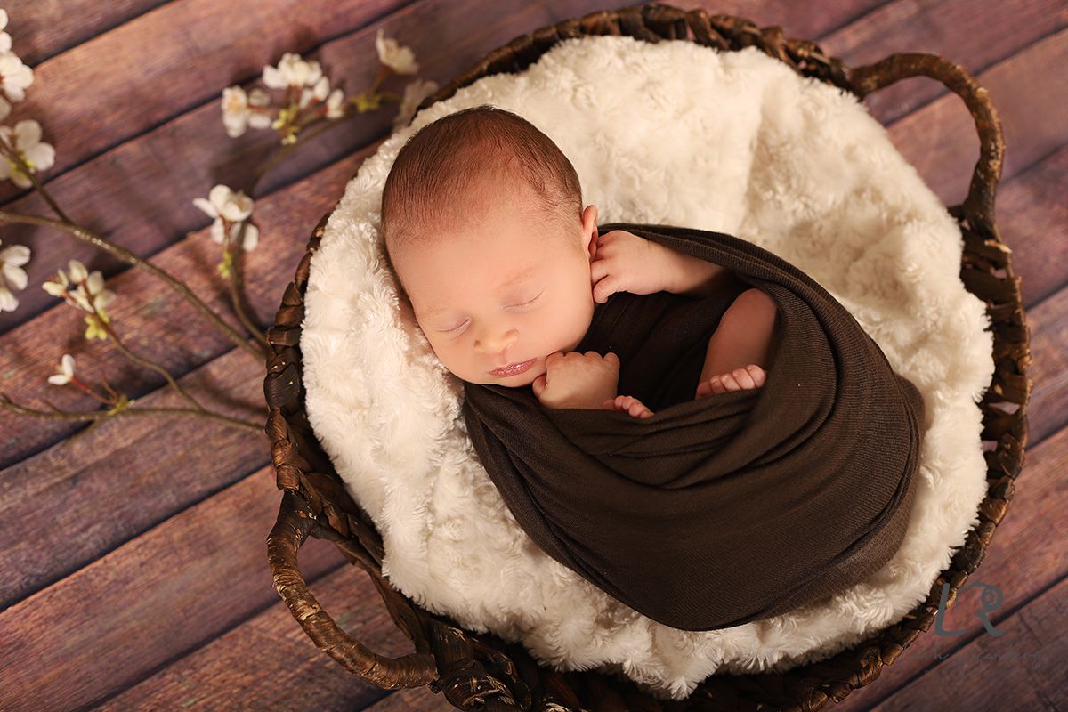 brown roundy basket.jpg