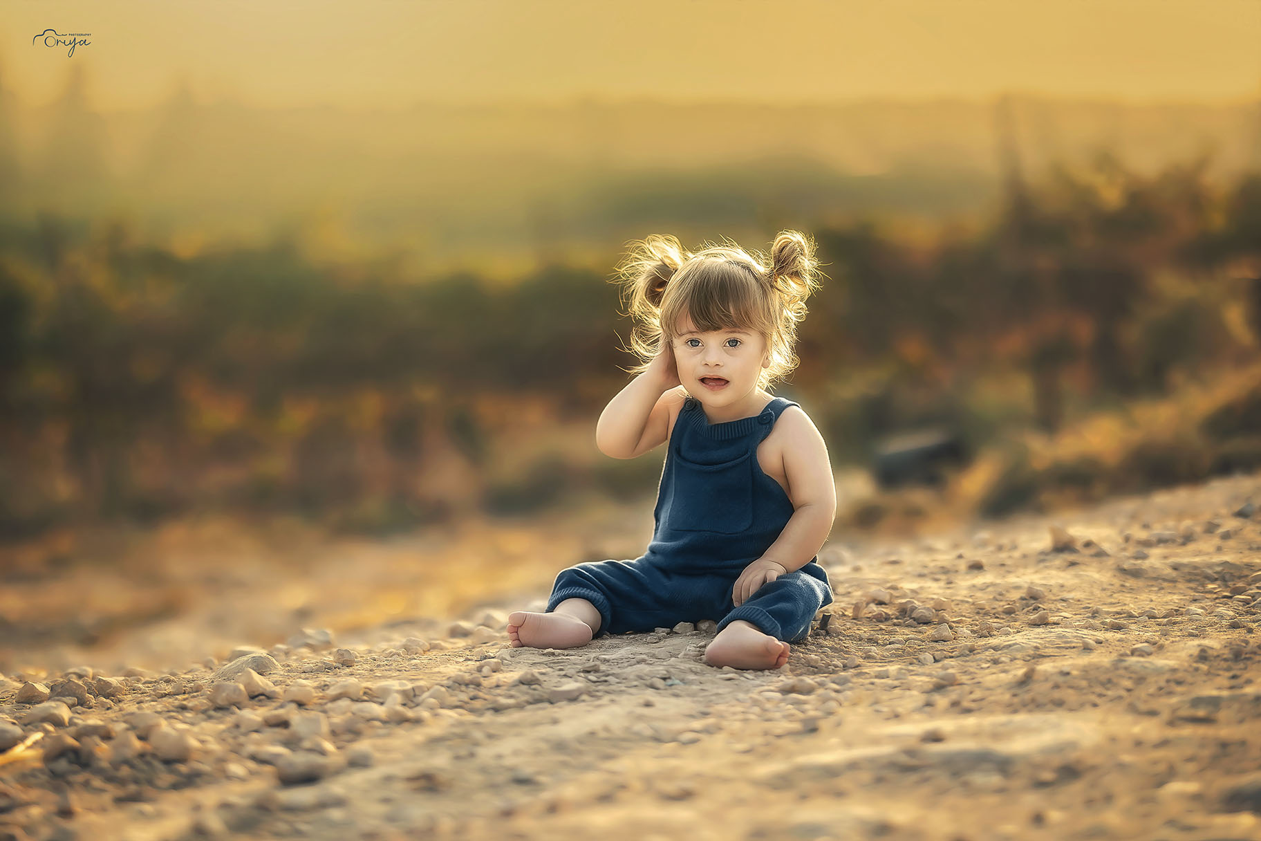 C82A3273123 copy 2.jpg