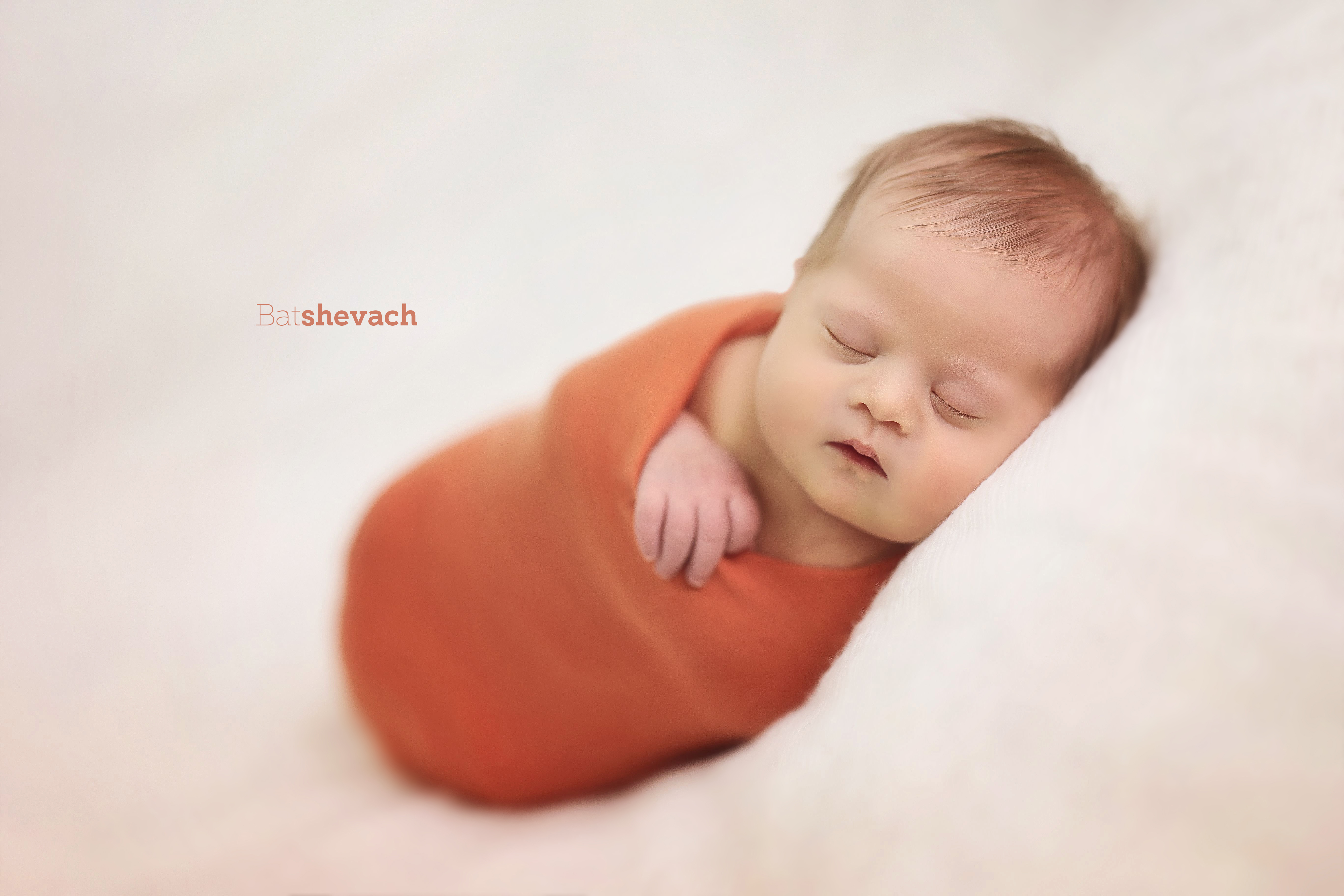 C82A7383מעובד גג.jpg