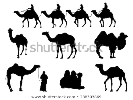 camel-silhouettes-vector-image-450w-288303869.jpg