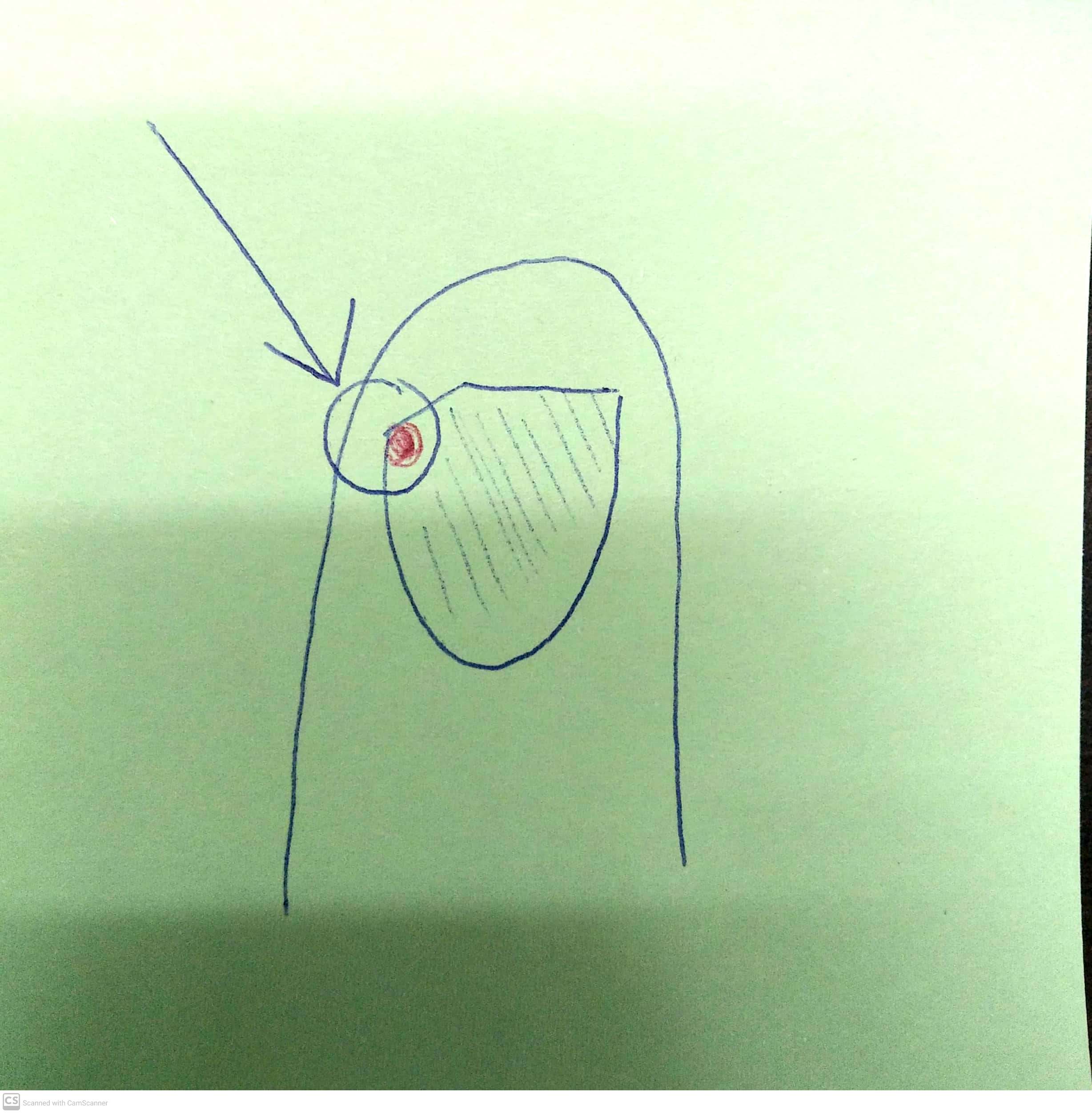 CamScanner 06-06-2021 20.44_10.jpg