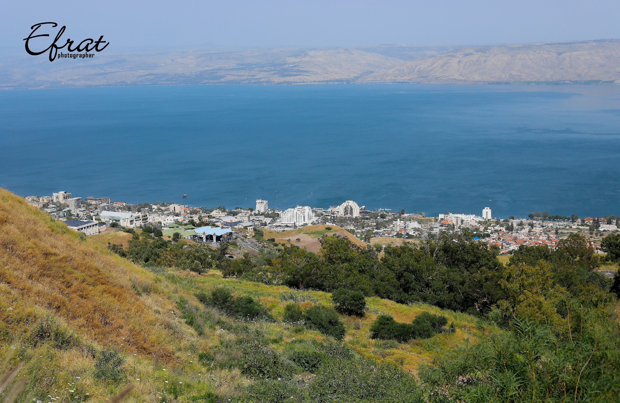 Canon EOS 5D Mark IV2771.jpg