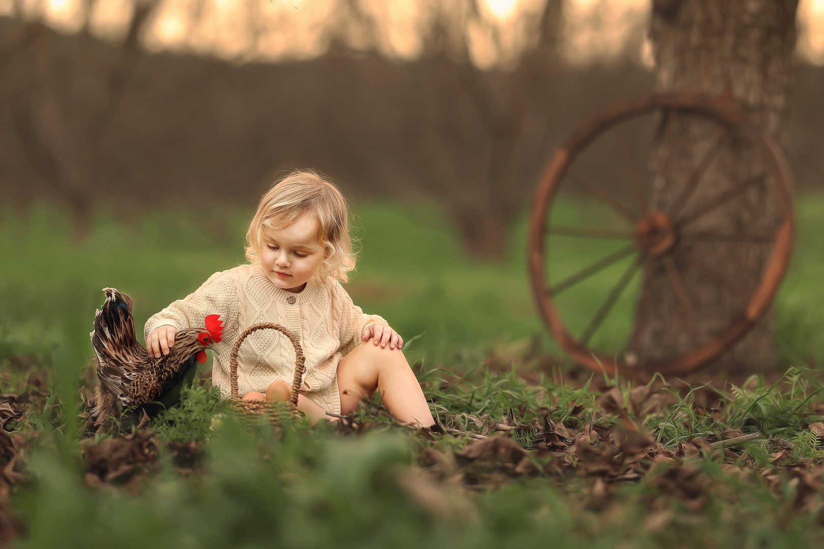 chavy8251 (Large).jpg