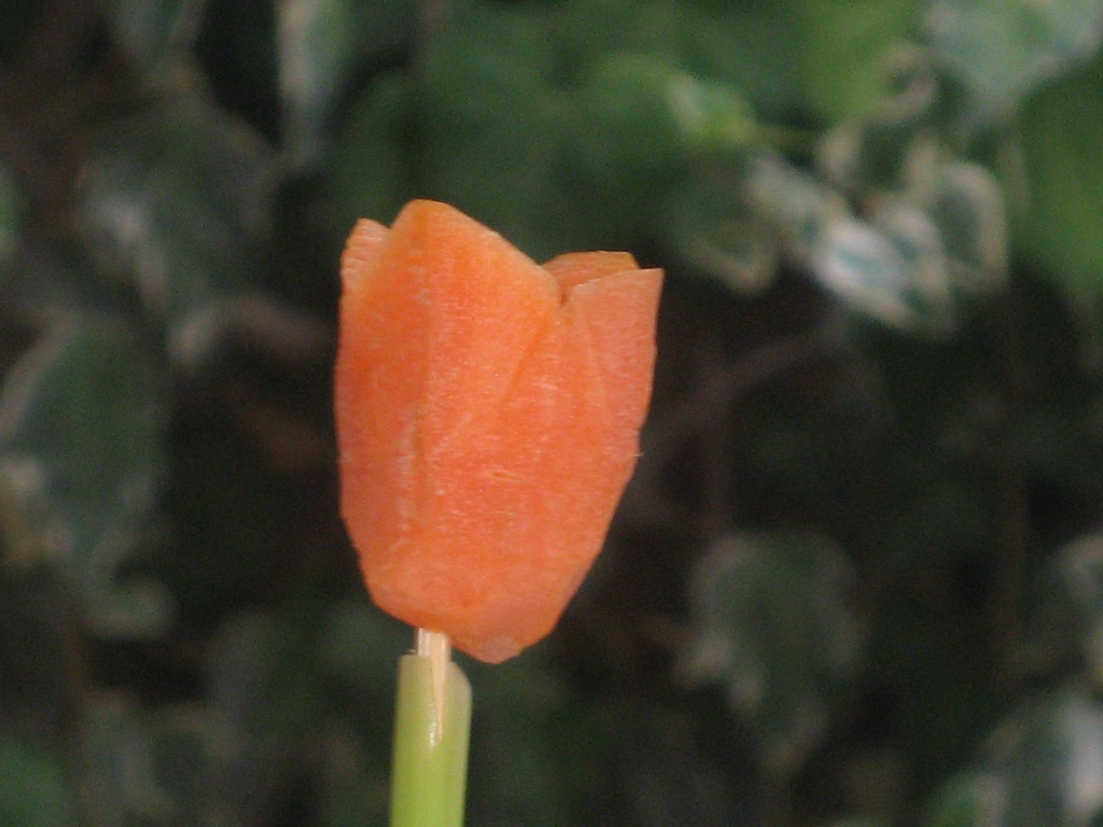 Copy of IMG_1192.JPG