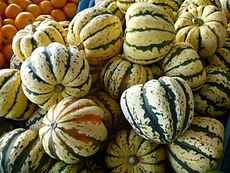 Cucurbita_pepo_Acorn_group_Carnival_Squash.jpg