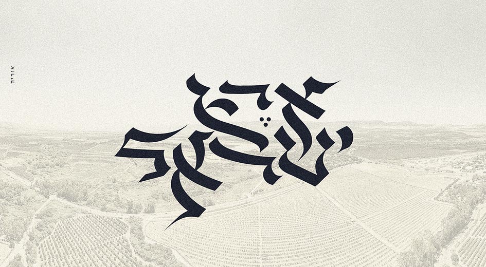 DJI_0186 copy 2 (1).jpg