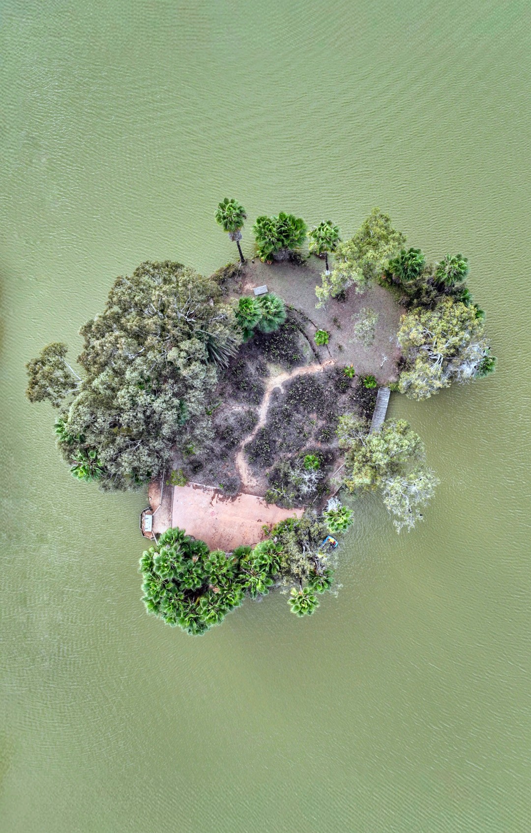 dji_fly_20251208_143922_993_1765198476321_photo~2 (גדול).jpg