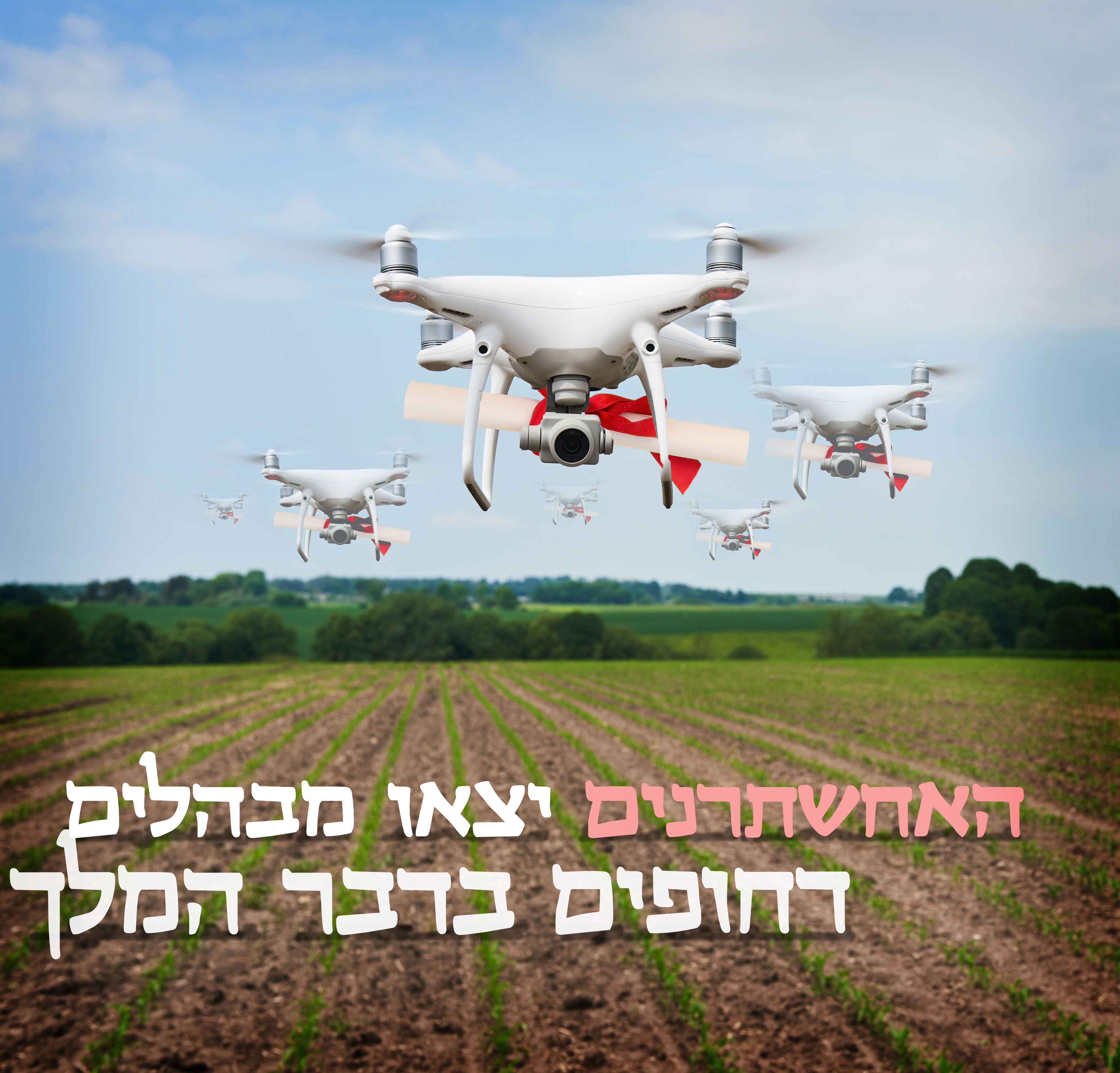 drone-פורים.jpg
