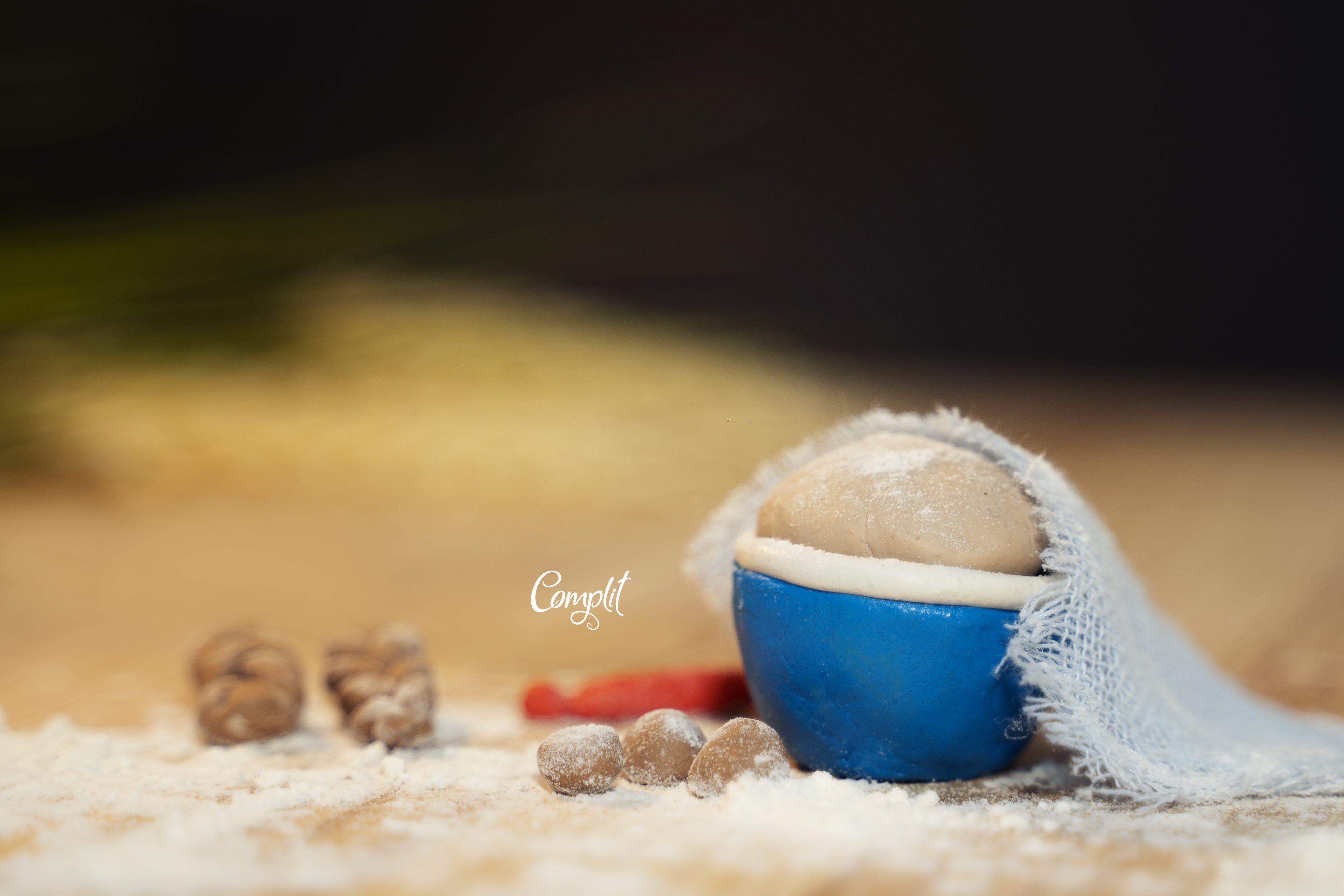 DSC00099 העתק.jpg