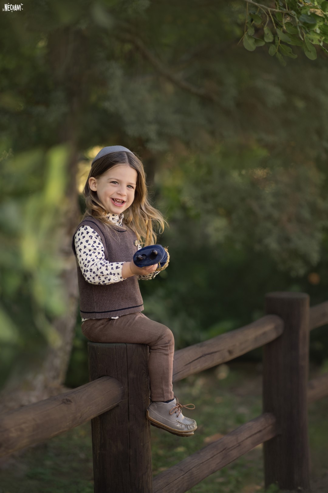 DSC00493-2 (Large).jpg