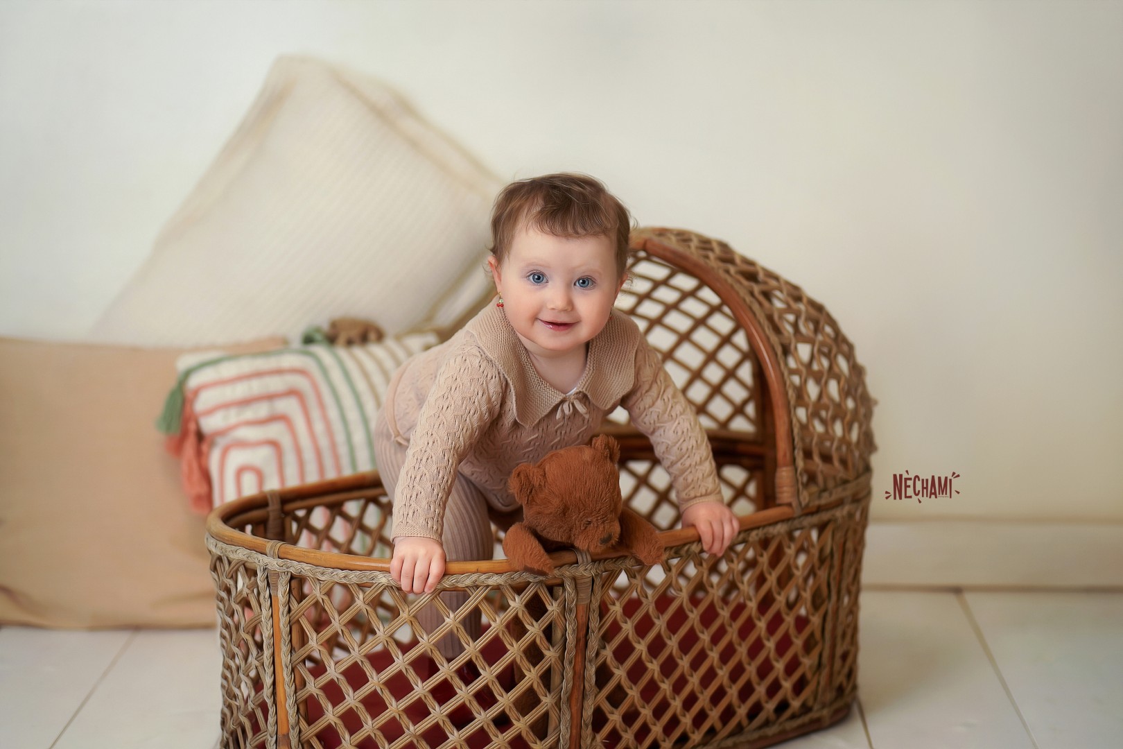 DSC02949.jpgח (Large).jpg