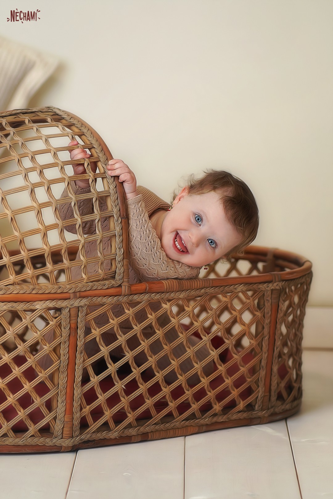 DSC03038 copy.jpgח (Large).jpg