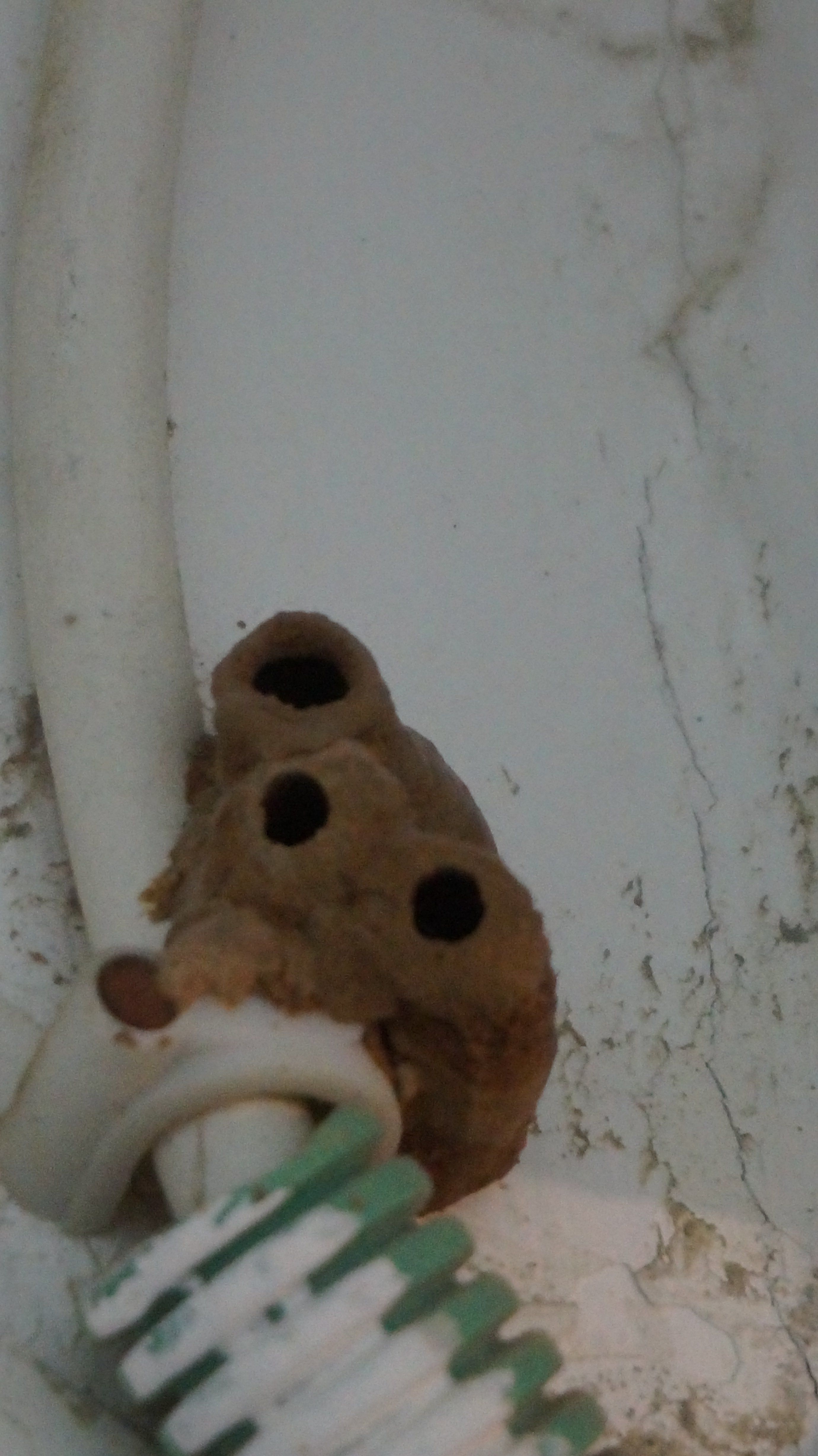 DSC03841.JPG