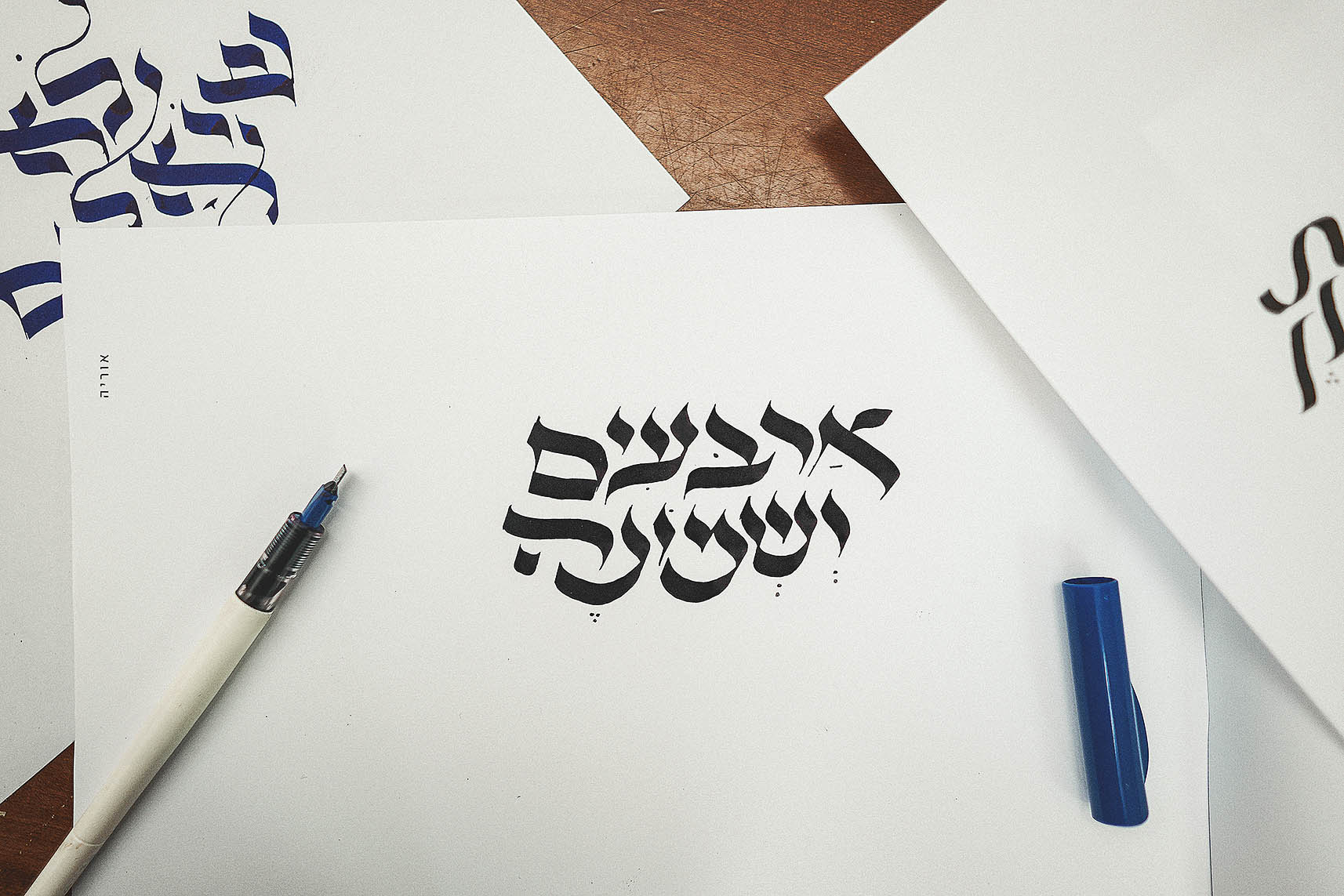 DSC05544 קטןןopy.jpg