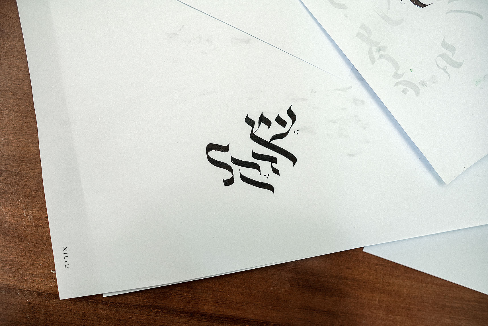 DSC05562קטנטן copy.jpg