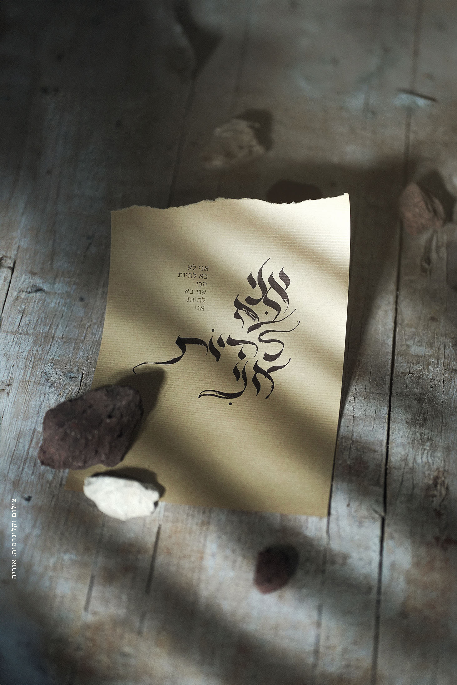 DSC08271ק copy 2.jpg