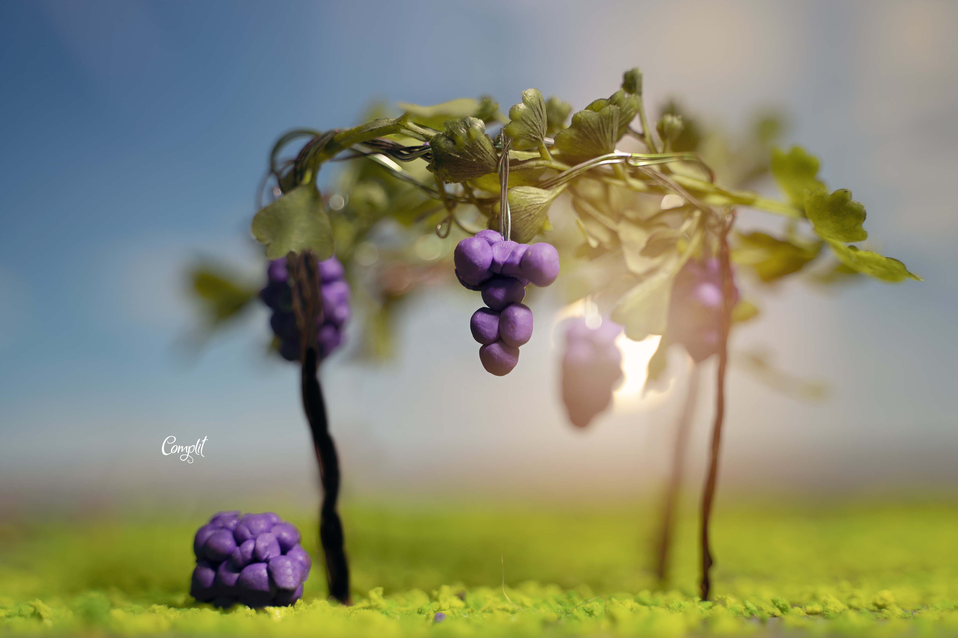 DSC09191 העתק.jpg