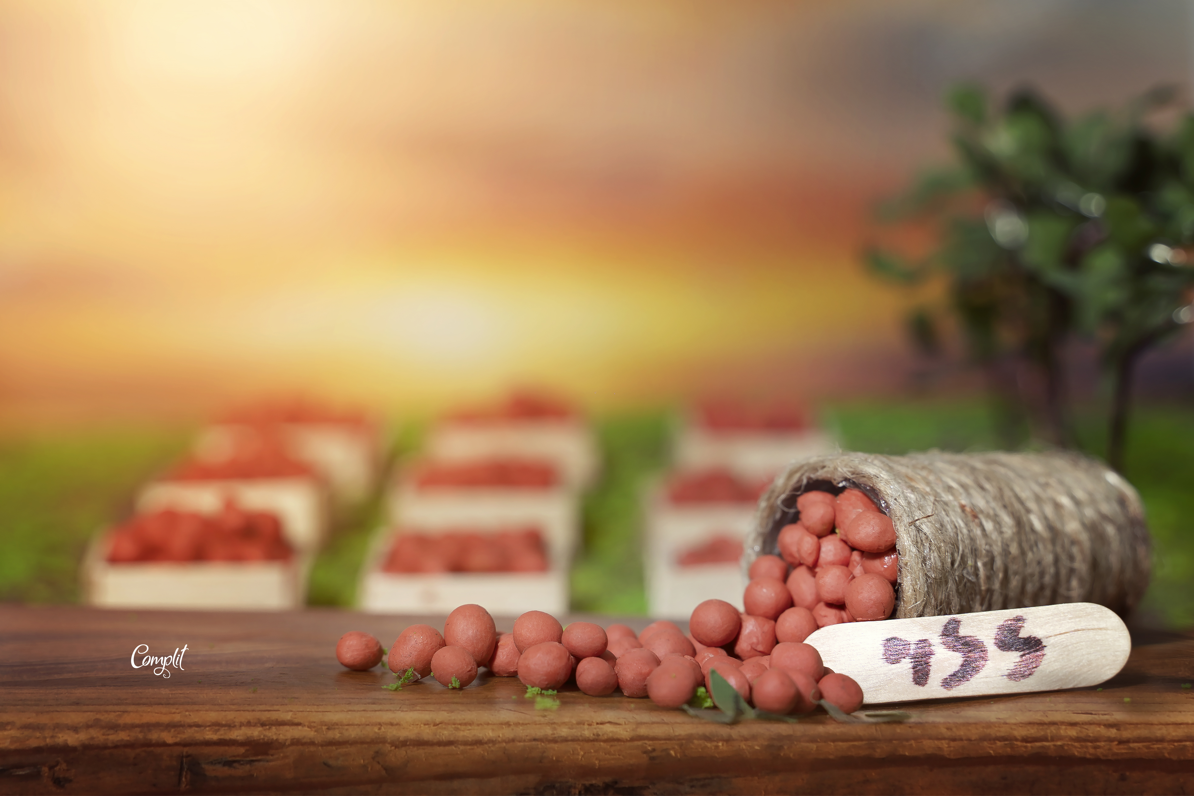 DSC09345 העתק.jpg