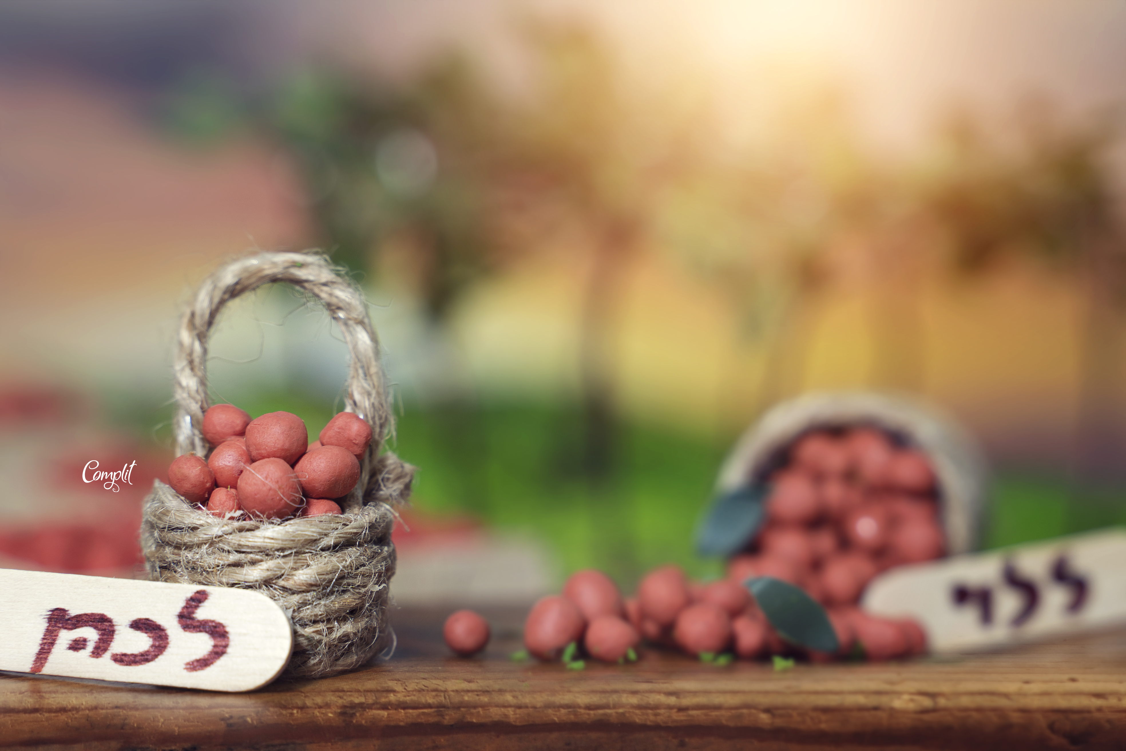 DSC09364 העתק.jpg