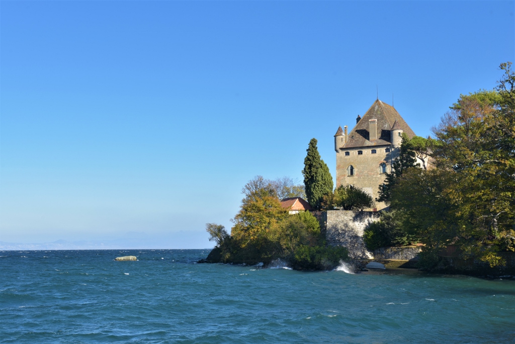 DSC_2936 (1024x683).jpg