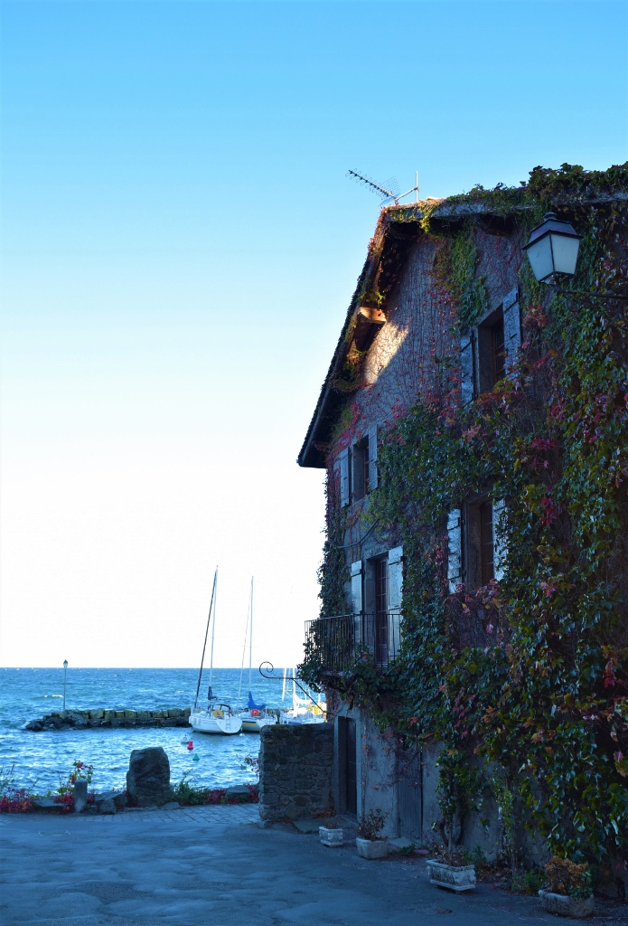 DSC_3023 (695x1024).jpg