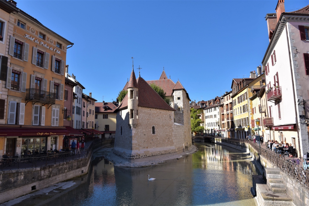 DSC_3481 (1024x683).jpg