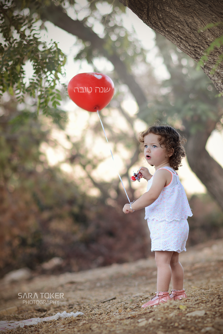 DSC_3750 2 copy 4.jpg