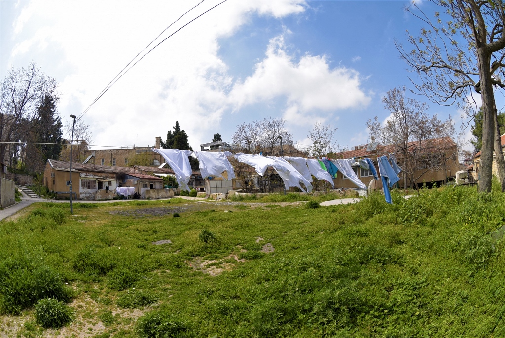 DSC_4546 (1024x685).jpg