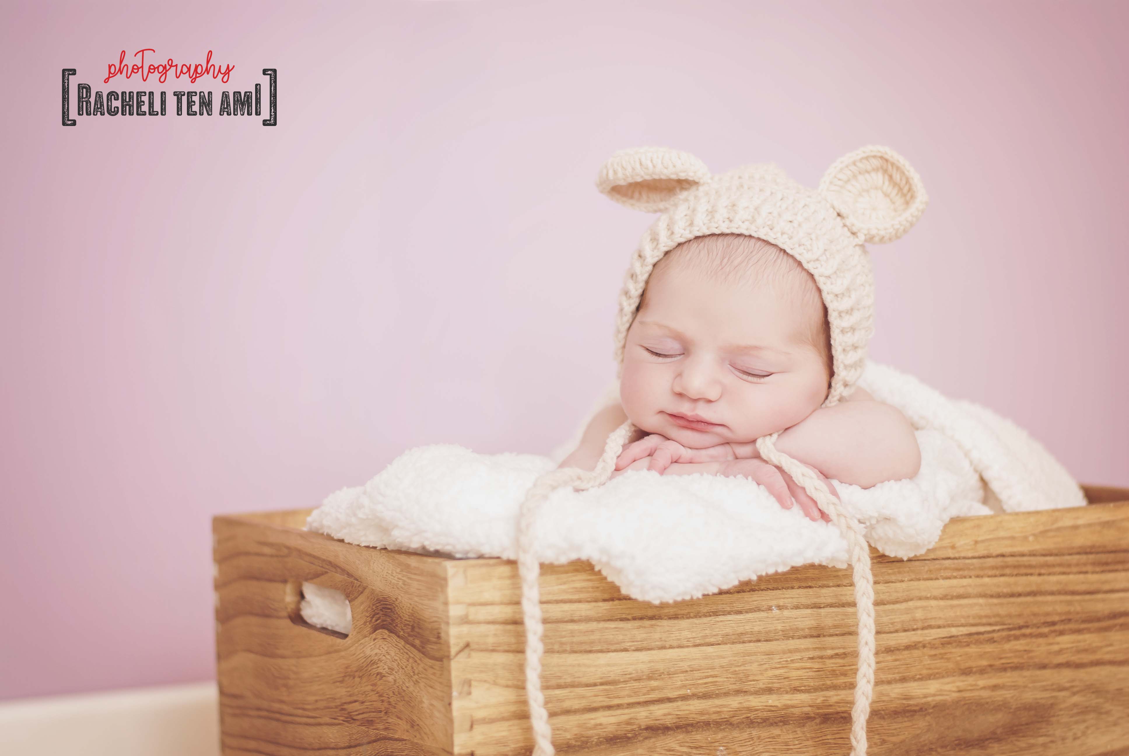 DSC_5691עם לוגו.jpg