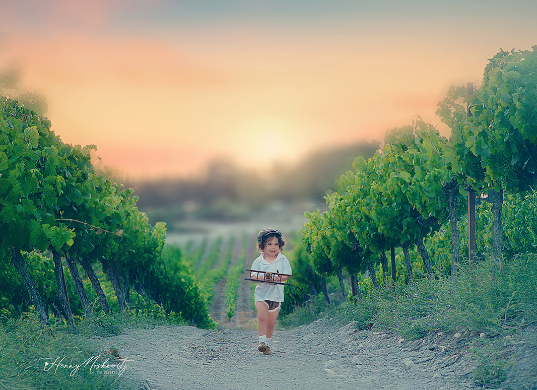 DSC_5967-Enhanced-NR copy.jpg