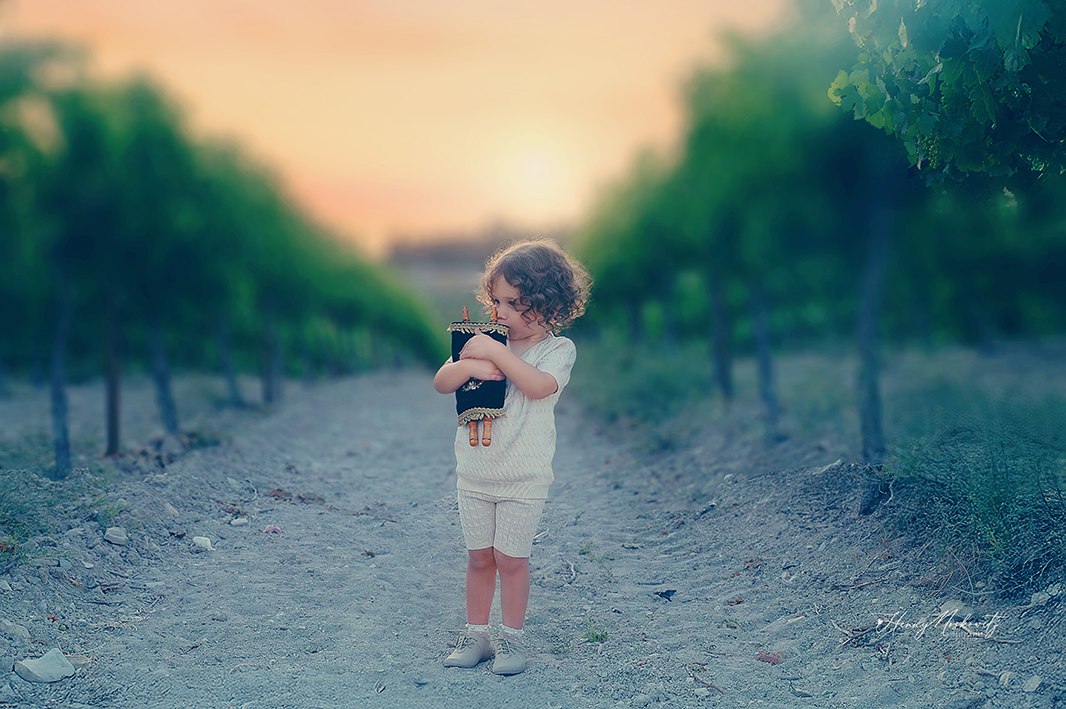 DSC_6042-Enhanced-NR copy.jpg