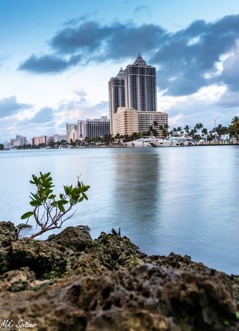 DSC_7600 (Small).jpg