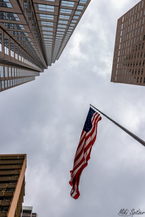 DSC_7621-3 (Small).jpg