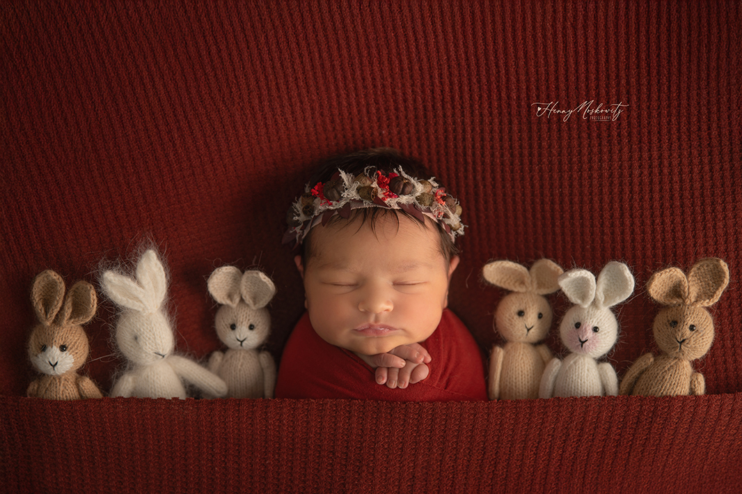 DSC_7910-Recovered copy.jpg