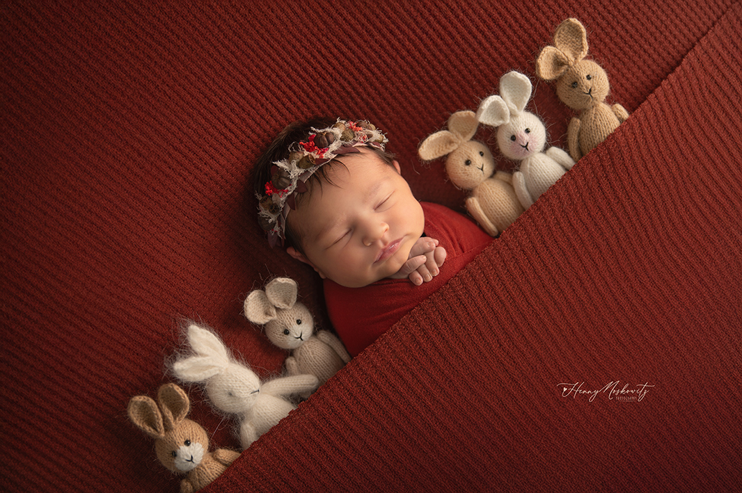 DSC_7922-Recovered copy.jpg